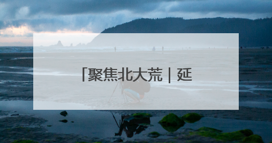 聚焦北大荒｜延军农场：飞防出击 “一喷多效”